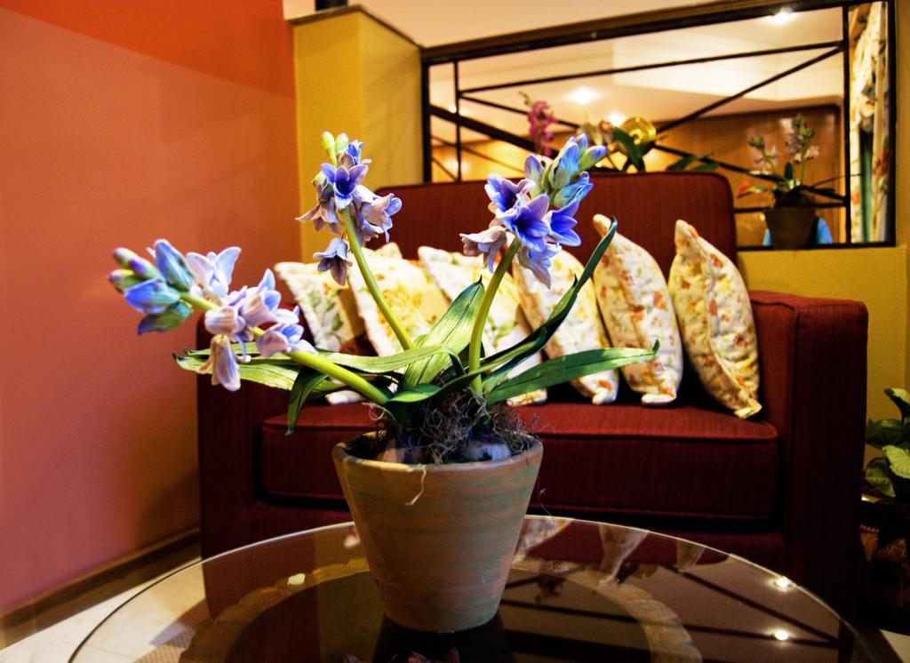 Hotel Bristol Asunción Eksteriør billede